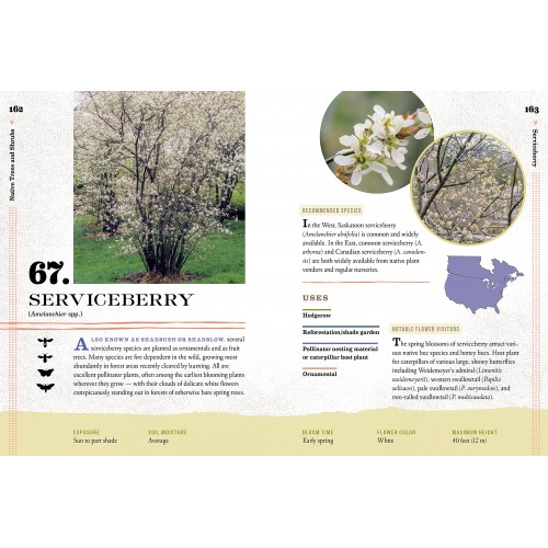 100 Plants to Feed the Bees Ferguson Tree Nursery